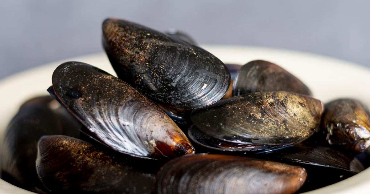 Estuary tour with mussel tasting - Ría de Pontevedra